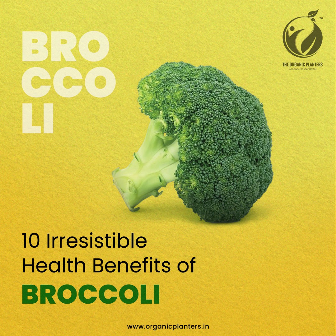 Health Benefits of Broccoli