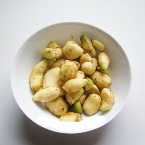 Frozen Koorka / chinese potato
