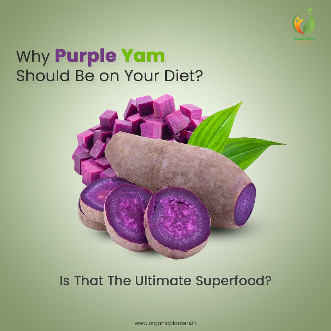  Purple Yam Benefits Online - Organic Planters Blog